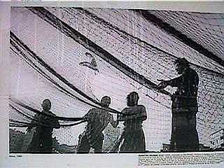 Fot&oacute;grafo por un dia